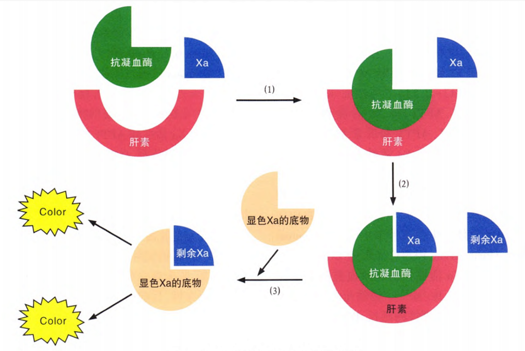 國產(chǎn)抗Xa質(zhì)量如何？多中心臨床研究來告訴你！